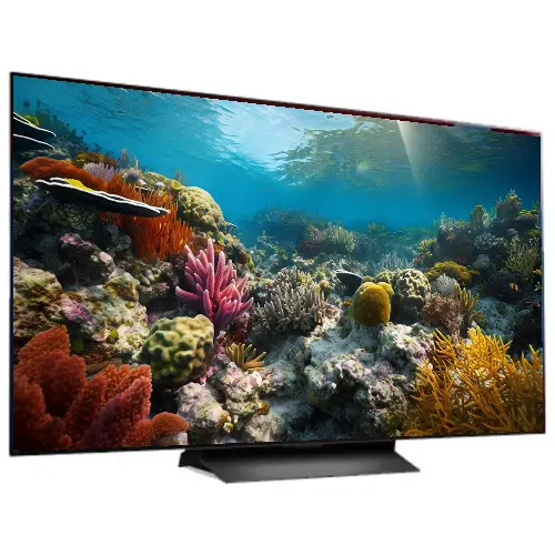 LG TV model C4